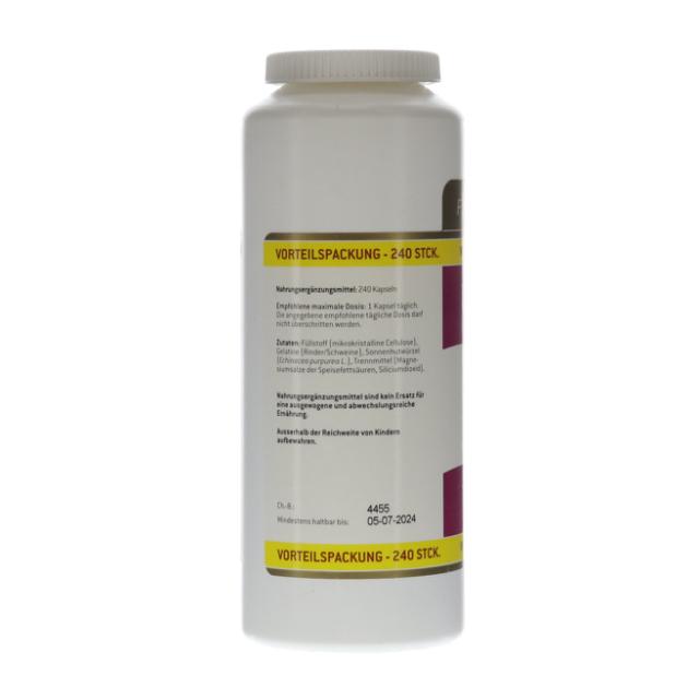 * Fitness Echinacea 240 St.